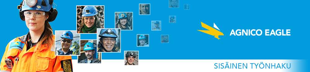 Internal Job Search Banner